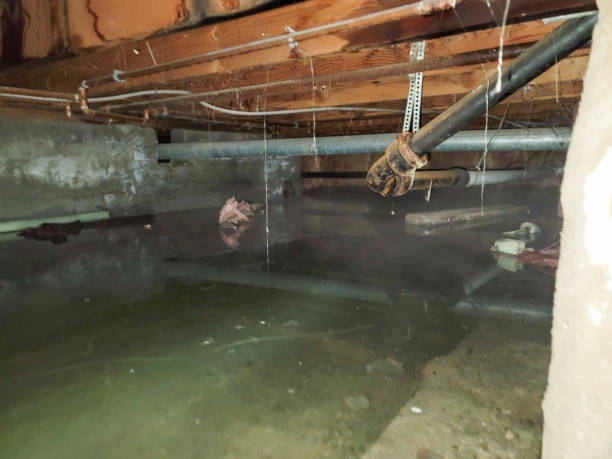 Best Commercial water damage restoration  in Farmingville, NY