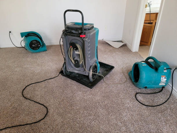Best Fire Damage Restoration  in Farmingville, NY