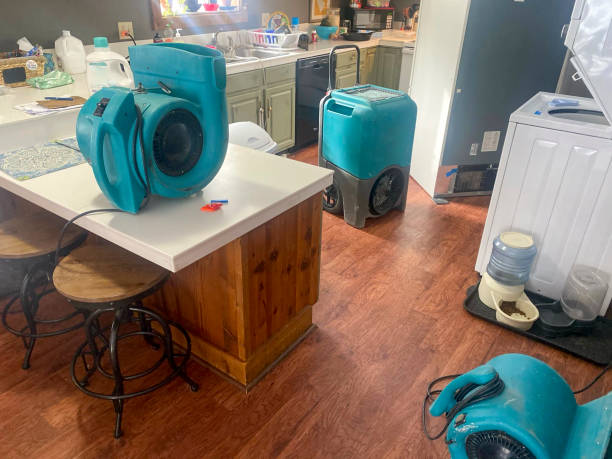 Best Ceiling water damage repair  in Farmingville, NY