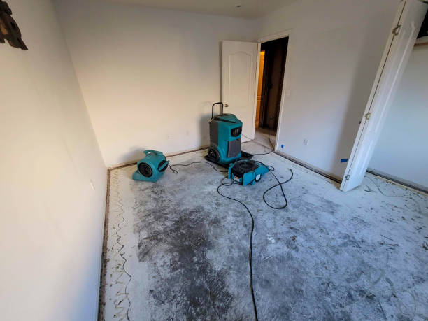 Best Carpet water damage restoration  in Farmingville, NY