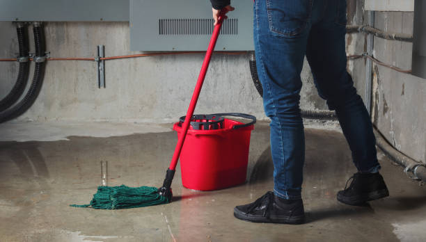 Best 24/7 water damage repair  in Farmingville, NY
