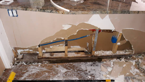 Best Water damage restoration cost  in Farmingville, NY