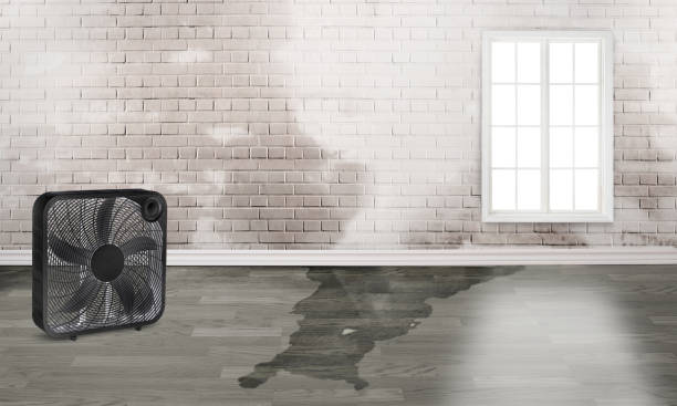 Best Emergency water damage restoration  in Farmingville, NY
