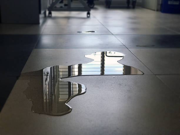 Best Water damage cleanup near me  in Farmingville, NY