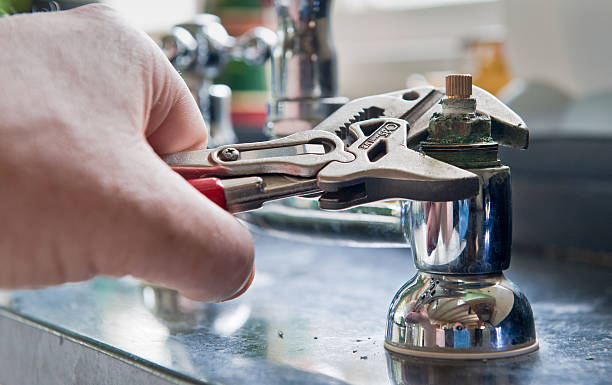 Best Water damage cleanup near me  in Farmingville, NY