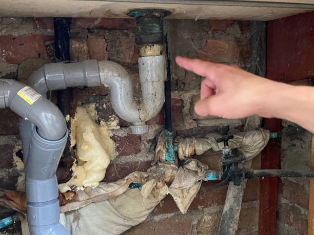 Best Local water damage restoration  in Farmingville, NY