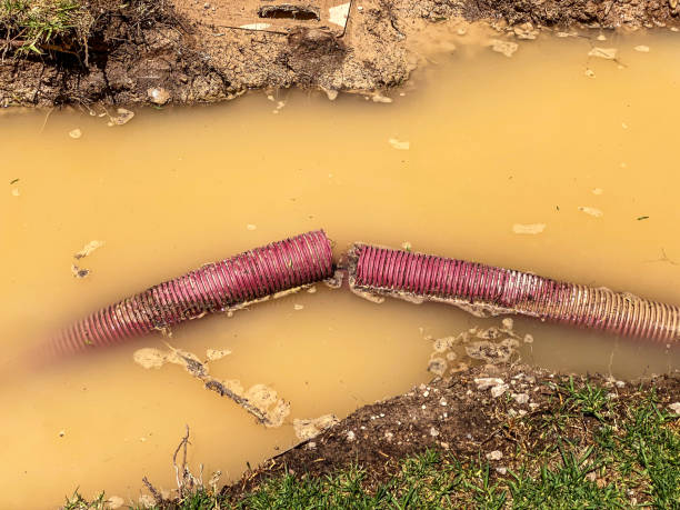 Sewage cleanup and water damage restoration in Farmingville, NY
